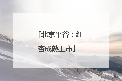 北京平谷：红杏成熟上市