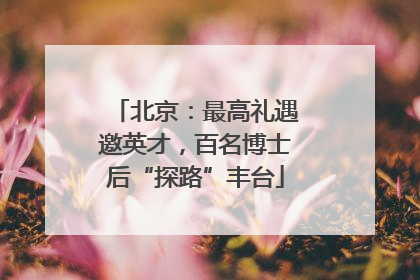 北京：最高礼遇邀英才，百名博士后“探路”丰台