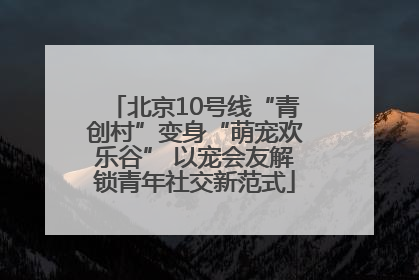 北京10号线“青创村”变身“萌宠欢乐谷” 以宠会友解锁青年社交新范式