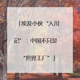 埃及小伙“入川记”：中国不只是“世界工厂”