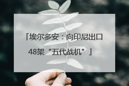 埃尔多安：向印尼出口48架“五代战机”