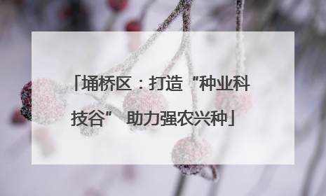埇桥区：打造“种业科技谷” 助力强农兴种