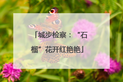 城步检察：“石榴”花开红艳艳
