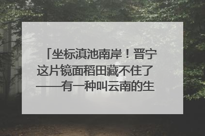 坐标滇池南岸！晋宁这片镜面稻田藏不住了——有一种叫云南的生活之365天