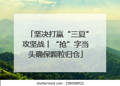 坚决打赢“三夏”攻坚战丨“抢”字当头确保颗粒归仓