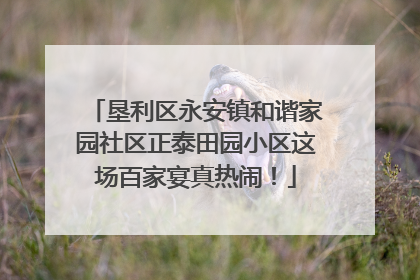 垦利区永安镇和谐家园社区正泰田园小区这场百家宴真热闹！
