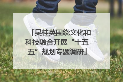 吴桂英围绕文化和科技融合开展“十五五”规划专题调研