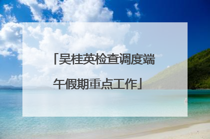 吴桂英检查调度端午假期重点工作