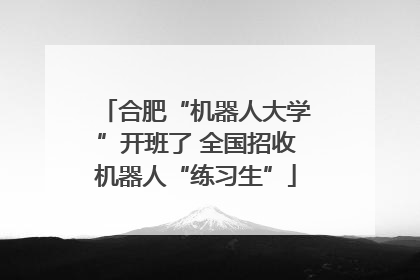 合肥“机器人大学”开班了 全国招收机器人“练习生”