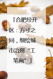 合肥经开区：方寸之间，细绘城市治理“工笔画”