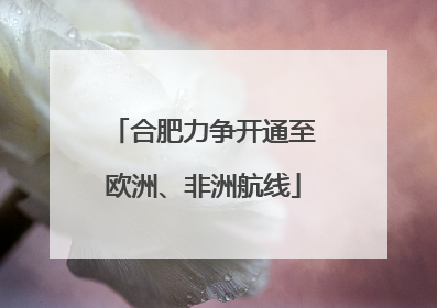 合肥力争开通至欧洲、非洲航线