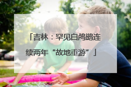 吉林：罕见白鸬鹚连续两年“故地重游”