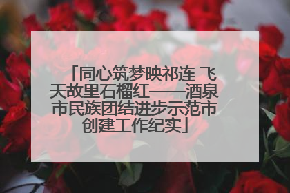 同心筑梦映祁连 飞天故里石榴红——酒泉市民族团结进步示范市创建工作纪实