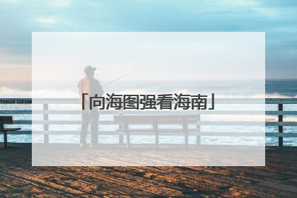 向海图强看海南
