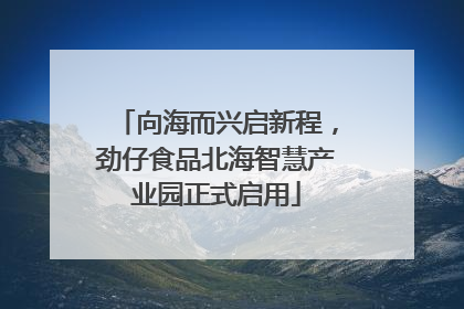 向海而兴启新程，劲仔食品北海智慧产业园正式启用