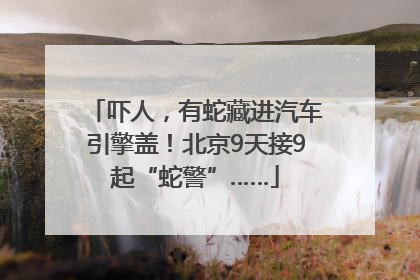 吓人，有蛇藏进汽车引擎盖！北京9天接9起“蛇警”……