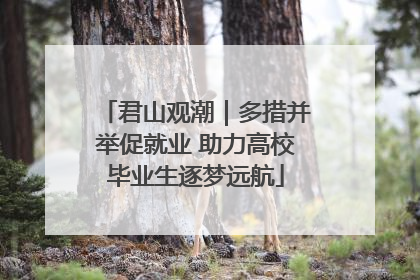 君山观潮｜多措并举促就业 助力高校毕业生逐梦远航