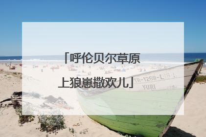 呼伦贝尔草原上狼崽撒欢儿