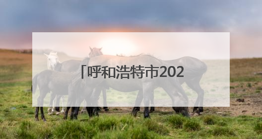 呼和浩特市2025年就业创业服务进校园暨第8场高校巡回招聘会举办