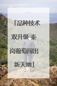 品种技术双升级 秦岗葡萄闯出新天地