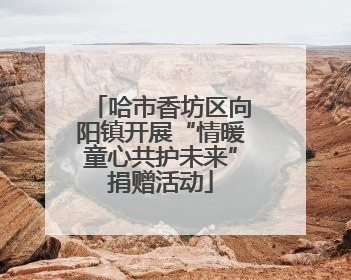 哈市香坊区向阳镇开展“情暖童心共护未来”捐赠活动