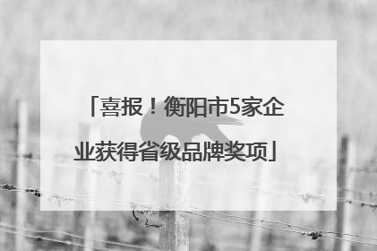 喜报！衡阳市5家企业获得省级品牌奖项
