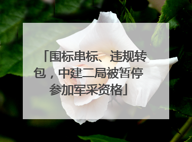 围标串标、违规转包，中建二局被暂停参加军采资格