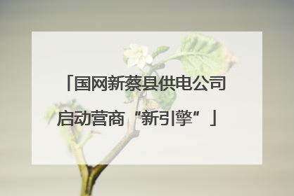 国网新蔡县供电公司启动营商“新引擎”