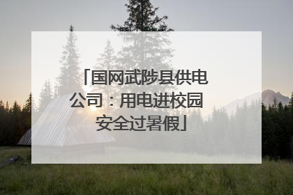 国网武陟县供电公司：用电进校园  安全过暑假