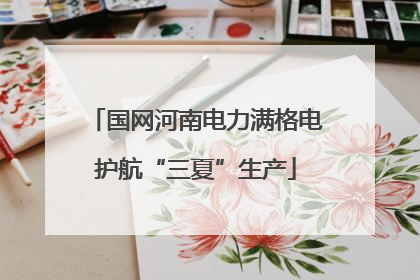 国网河南电力满格电护航“三夏”生产