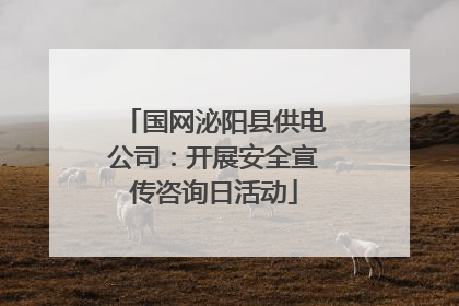 国网泌阳县供电公司：开展安全宣传咨询日活动