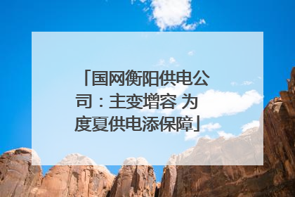 国网衡阳供电公司：主变增容 为度夏供电添保障