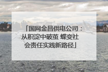 国网金昌供电公司：从积淀中破茧 蝶变社会责任实践新路径