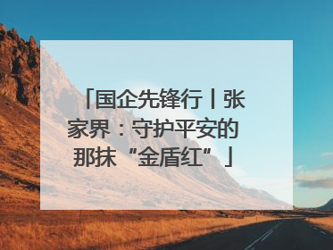 国企先锋行丨张家界：守护平安的那抹“金盾红”