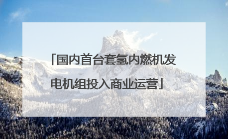 国内首台套氢内燃机发电机组投入商业运营