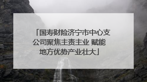 国寿财险济宁市中心支公司聚焦主责主业 赋能地方优势产业壮大