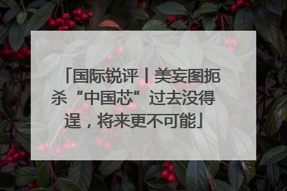 国际锐评丨美妄图扼杀“中国芯”过去没得逞，将来更不可能