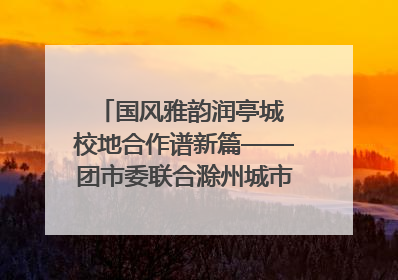 国风雅韵润亭城 校地合作谱新篇——团市委联合滁州城市职业学院助力传统文化“破圈”绽放