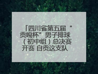 四川省第五届“贡嘎杯”男子排球（初中组）总决赛开赛 自贡这支队伍打进半决赛