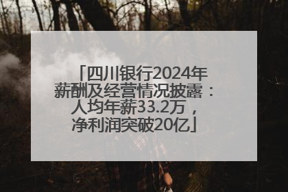 四川银行2024年薪酬及经营情况披露：人均年薪33.2万，净利润突破20亿