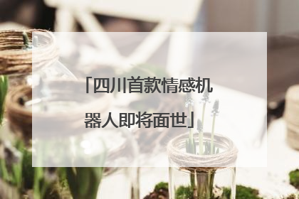 四川首款情感机器人即将面世