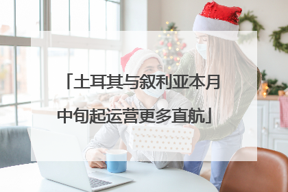 土耳其与叙利亚本月中旬起运营更多直航
