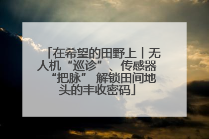 在希望的田野上丨无人机“巡诊”、传感器“把脉” 解锁田间地头的丰收密码