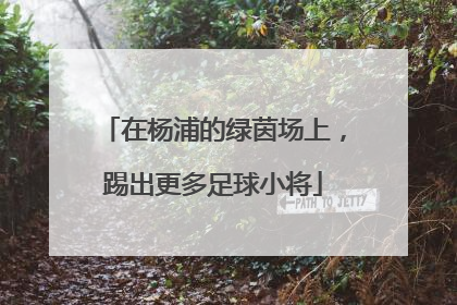 在杨浦的绿茵场上，踢出更多足球小将