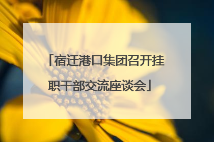 宿迁港口集团召开挂职干部交流座谈会