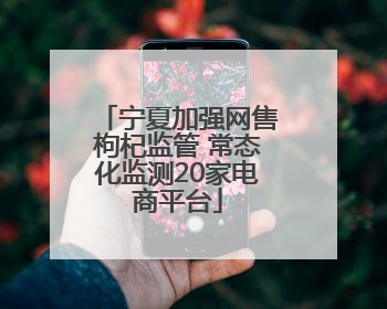 宁夏加强网售枸杞监管 常态化监测20家电商平台