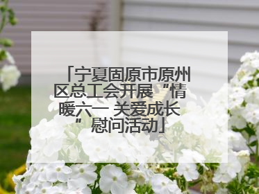 宁夏固原市原州区总工会开展“情暖六一 关爱成长”慰问活动