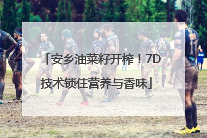 安乡油菜籽开榨！7D技术锁住营养与香味