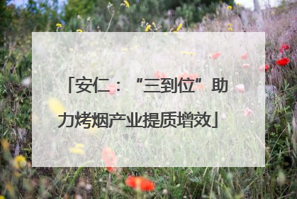 安仁：“三到位”助力烤烟产业提质增效