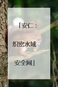 安仁：织密水域安全网